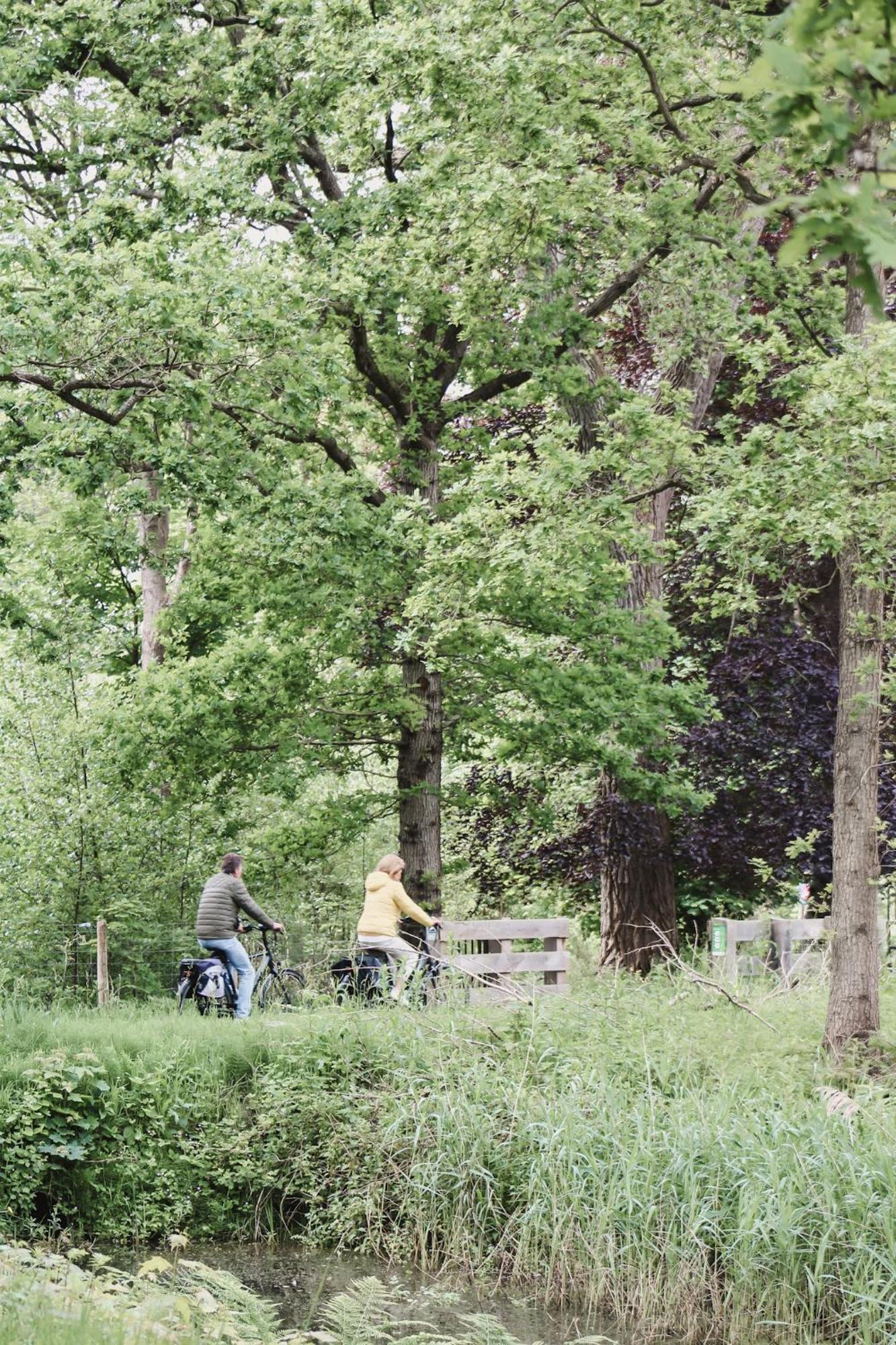 Zoomers Aan Het Bos Castricum Exterior photo